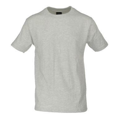 Adult Solid T-Shirts Ash Grey T-100